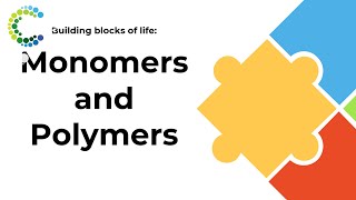 Building Blocks of Life Monomers and Polymers [upl. by Frolick]