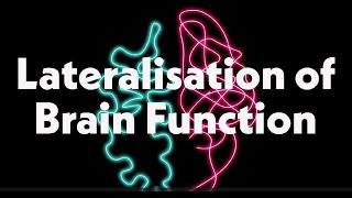 Lateralisation of Brain Function [upl. by Arodasi]