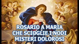 Rosario a Maria che scioglie i nodi  Misteri Dolorosi [upl. by Berlinda299]