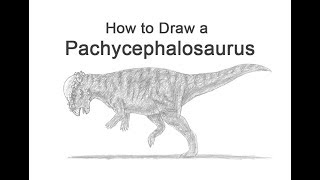 How to Draw a Pachycephalosaurus [upl. by Ivah]