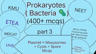 Prokaryotes  Bacteria  400 mcqs Part 3  Plasmid  Mesosomes  Spores  Cysts  Related mcqs [upl. by Chang500]