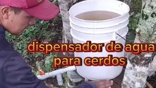 dispensador de agua para cerdos [upl. by Durgy]