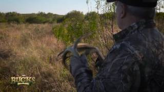 The Bucks of Tecomate  501 Monster  Outdoor Channel [upl. by Don]