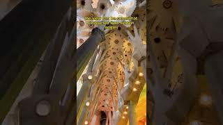 Is Visiting Sagrada Família Towers Worth It A Breathtaking View Inside Barcelonas Iconic Basilica [upl. by Cleland]