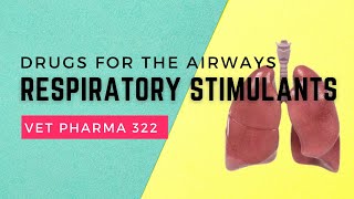 VET PHARMA 2  Drugs for Airway Disorders Respiratory Stimulants  Module 209 Student Output [upl. by Atnahsa23]