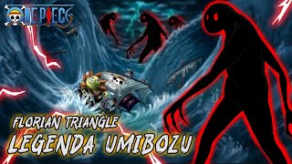 MISTERI ONE PIECE MAKHLUK FLORIAN TRIANGLE LEGENDA UMIBOZU [upl. by Lupee188]