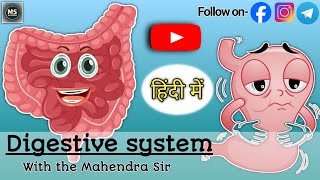 Digestive System I पाचन तंत्र I Human digestive system I Function and organs of digestive system [upl. by Lovel]