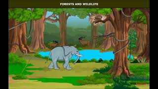 Natural Vegetation and Wildlife  Forest  Geography  Class 7 [upl. by Cardie]