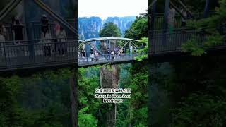 Located in Hunan China 张家界国家森林公园 zhangjiajie nature china hunan 湖南 中国🇨🇳 [upl. by Yrrehc]