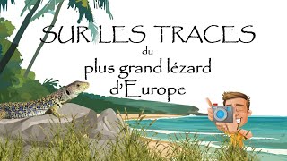 SUR LES TRACES du plus grand Lézard dEurope [upl. by Notffilc]