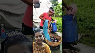 machhali ka palan kaise kiya jata hai fishing fish viralvideo short [upl. by Packston]