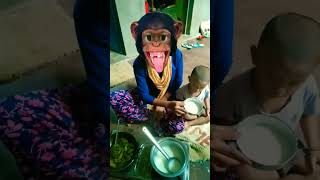 🤑😍😍Bander🤣🤣 mama pahan🥰🥰😋😍💥funny tranding shortsvideo pajama💥💥🍚🍚😄 [upl. by Gonzalo]