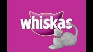 WHISKAS Animated spot Gary Q [upl. by Merras]