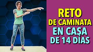 Reto de Caminata de 14 Días Entrenamiento Cardio en Casa [upl. by Lledra]