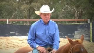 Bruce Mcnaughton Campdrafting  DVD preview [upl. by Warwick]