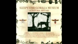 Sleepytime Gorilla Museum  Phthisis [upl. by Burroughs]