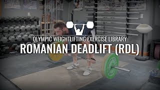 Romanian Deadlift RDL  Olympic Weightlifting Exercise Library [upl. by Dnilasor]