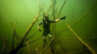 Treasure Hunting a Creepy Underwater Forest Found GoldMine  Jiggin With Jordan [upl. by Darell]