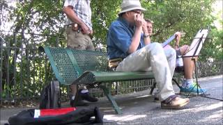 St James infirmary Blues Arr Greg Szlapczynski Harmonica chromatique [upl. by Ahserkal]