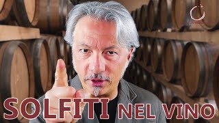 Ti spiego i SOLFITI nel VINO [upl. by Japeth]