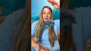 Ocean Animals 🐬 Opposites Song kidssongs kidslearning [upl. by Arabelle]