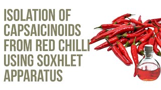 Isolation of capsaicinoids from Red Chilli  Capsicum  using Soxhlet Apparatus [upl. by Abagael]