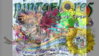 pintaflores played alive remix 2010 bongmixclusivewmv [upl. by Ardekahs202]