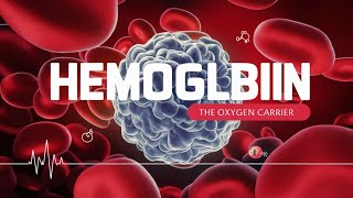 Haemoglobinhemoglobinfunction of haemoglobinwho haemoglobin function in bodytypes of haemoglobin [upl. by Chiles711]