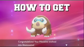 HOW TO EVOLVE PILOSWINE INTO MAMOSWINE IN POKEMON SWORD AND SHIELD BEST METHOD [upl. by Aneetsyrk]