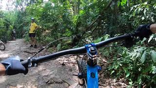 Marin Bobcat Trail 5 at Chestnut North  Bukit Timah MTB trail [upl. by Aleusnoc]