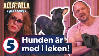 Hanna Hellquists hunds agerar som störningsmoment  Alla mot alla  All Stars  Kanal 5 Sverige [upl. by Tertia]