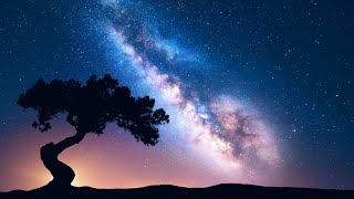 DEEP HEALING SLEEP Sleep Music • Delta Waves • Calming Music • Meditation Music • Relaxation [upl. by Anai]