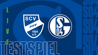 TESTSPIEL RELIVE  SC Verl  FC Schalke 04 [upl. by Eanert950]