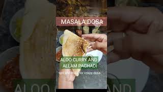 Masala Dosa Aloo Curry  Allam Pachadi Recipe savita uttiramerur breakfast [upl. by Linnie]