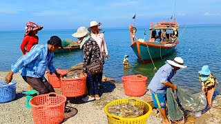 Seafood Paradise at Crab Market Best Street Food Tour in Kep Province Kampot amp More Cambodia [upl. by Persas]