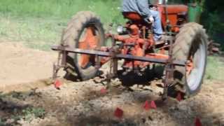 Case VAC Cultivating Potatoes  2 [upl. by Kcin676]