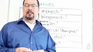 lets start Ojibwe  Lesson 4 Interrogatives [upl. by Mohorva]