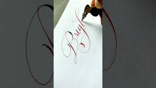 shorts Dip Pen Flex Nibs youtubeshorts art calligraphy bright [upl. by Ahsiemak]