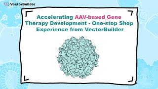 Accelerating AAVbased Gene Therapy Development Onestop Shop Experience from VectorBuilder [upl. by Tenney]