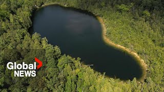 Anthropocene Lake in Canada marks humanaltering epoch of Earths history [upl. by Lebbie]