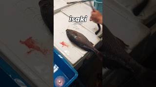 Quick painless shot part68🐟🔨 shorts fishing viral trending [upl. by Adnomar]