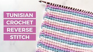 Tunisian Reverse Stitch Tutorial  HOW TO CROCHET a textured stitch for blankets and shawls [upl. by Leisha]