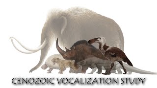 Extinct Species Vocalization Study 2023  Cenozoic Era [upl. by Frankie]