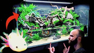 💚 Huge Natural 4ft Aqua Terrarium  Paludarium  Planted Tank Rehoming Pancho My Axolotl How To [upl. by Cristine194]