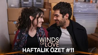 Winds of Love Weekly Summary 11  Rüzgarlı Tepe Haftalık Kolaj 11 [upl. by Mcclelland]