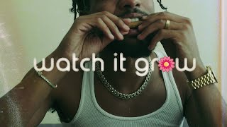 Rockie Fresh  Watch It Grow Official Music Video [upl. by Durham532]