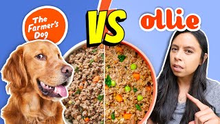 Brutally Honest Dog Food Review 👉 Farmer’s Dog vs Ollie [upl. by Adirahs]