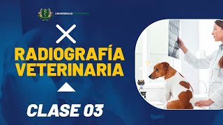 RADIOGRAFÍA VETERINARIA  CLASE 03 [upl. by Hsur]