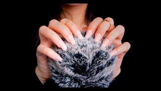 ASMR Fluffy Mic Scratching With Long Nails ❤️ Simulated Scalp Massage [upl. by Corby]