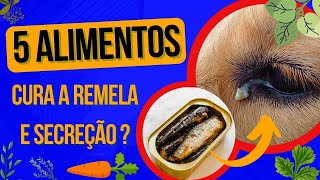 CACHORRO COM REMELA NO OLHO MESMO LIMPANDO TEM SECREÇÃO NOS OLHOS QUAL REMÉDIO COLÍRIO USAR EM CASA [upl. by Baerl]